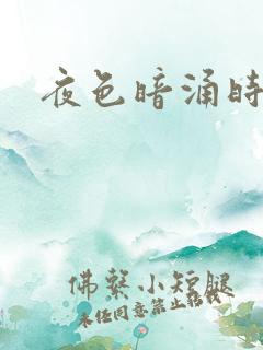 夜色暗涌时小说