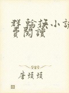 群 轮换小说免费阅读