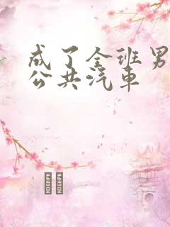 成了全班男生的公共汽车