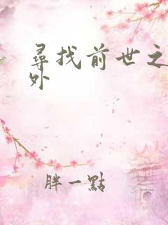 寻找前世之旅番外