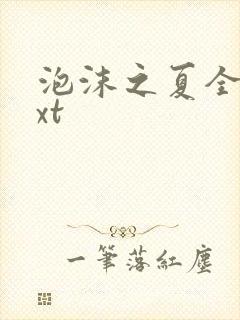 泡沫之夏全集txt