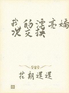 我的漂亮娇妻初次交换