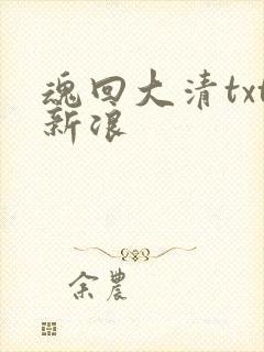 魂回大清txt新浪