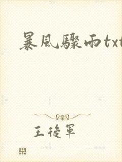 暴风骤雨txt