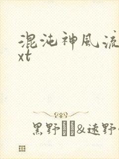 混沌神风流史txt