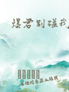 爆君别碰我