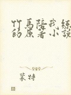 竹马陪我练技术的原著小说