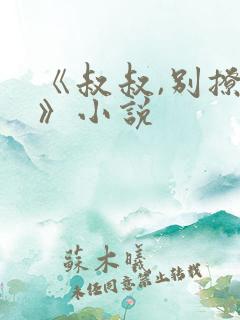 《叔叔,别撩我》小说