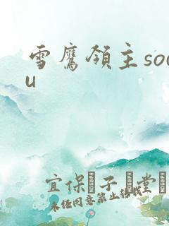 雪鹰领主sodu