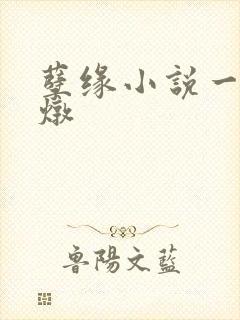 孽缘小说一家乱炖