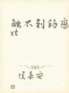 触不到的恋人txt