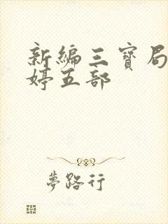 新编三宝局长许婷五部