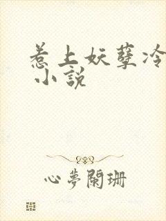 惹上妖孽冷殿下 小说