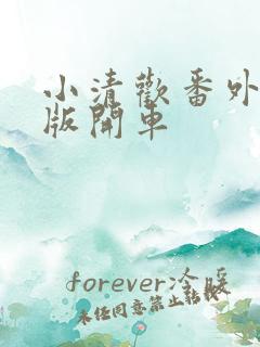 小清欢番外完整版开车