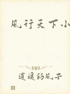 风行天下小说
