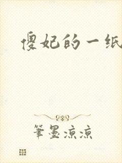 傻妃的一纸休书