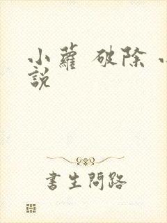 小萝 破除 小说