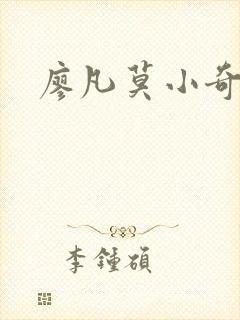 廖凡莫小奇