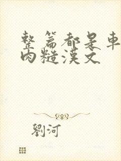 整篇都是车的多肉糙汉文