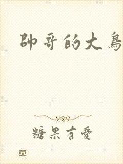 帅哥的大鸟