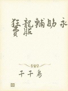 狂龙辅助永久免费版