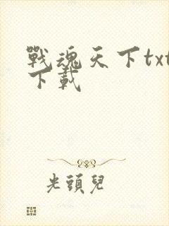 战魂天下txt下载