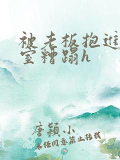 被老板抱进办公室糟蹋h