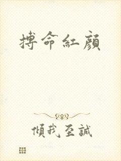 搏命红颜