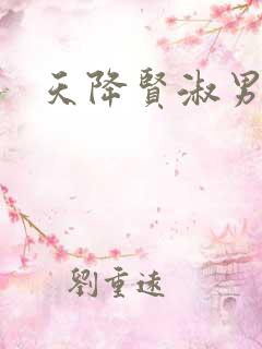 天降贤淑男小说