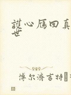 护心雁回真实身世