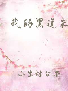 我的黑道未婚夫