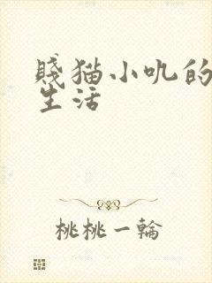 贱猫小叽的幸福生活