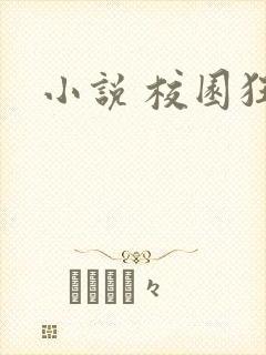 小说 校园狂少