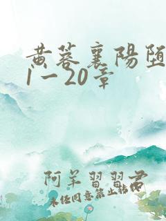 黄蓉襄阳堕落史1一20章