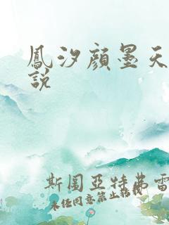 凤汐颜墨天问小说