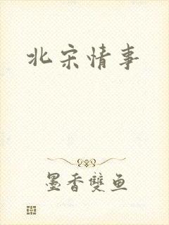北宋情事
