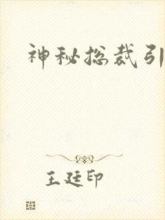 神秘总裁引入怀