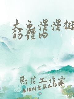 大龟慢慢挺进我的体内