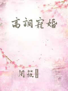 高调宠婚