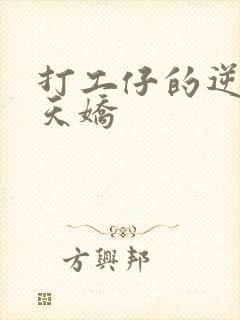 打工仔的逆袭楚天娇