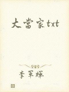大当家txt