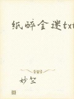 纸醉金迷txt