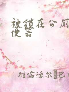 被锁在公厕当坐便器