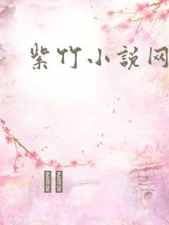 紫竹小说网