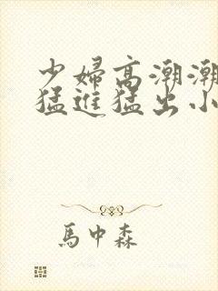 少妇高潮潮喷到猛进猛出小说