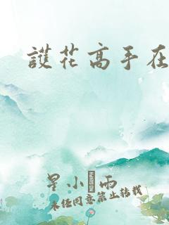 护花高手在江湖