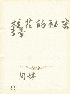 校花的秘密第23章