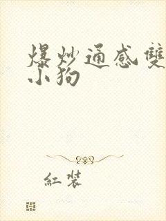 爆炒通感双胞胎小狗