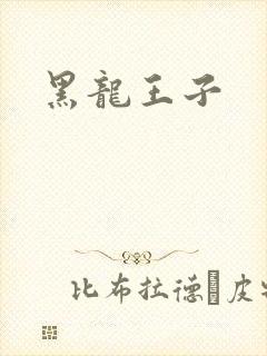 黑龙王子