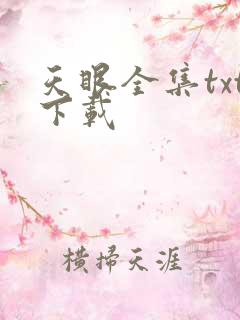 天眼全集txt下载
